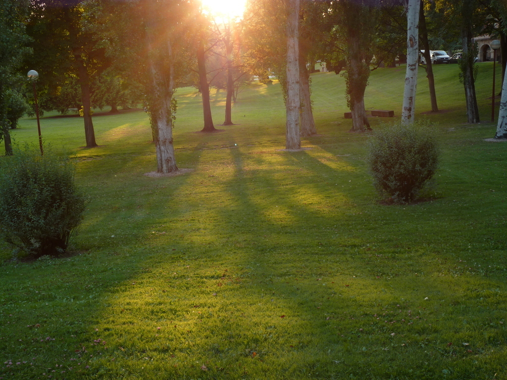 No s'ha trobat l'arxiu